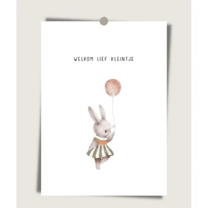 Felicitatie kaart geboorte Ballon 'welkom lief kleintje'