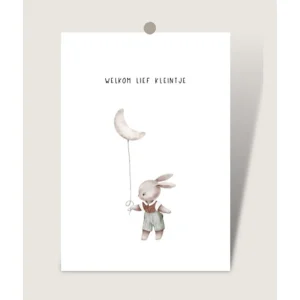 Felicitatie kaart geboorte Maan 'welkom lief kleintje'
