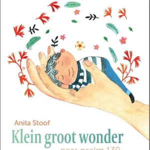 Klein groot wonder - Anita Stoof