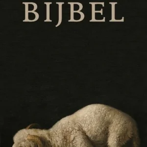 NBV21 - Bijbel - Luxe Cultuurhistorische uitgave