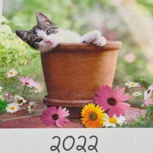 Hallmark weekplanner 2022