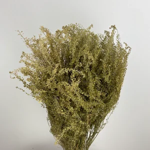 LUV Droogbloemen - Bunch Lypidium