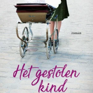 Het gestolen kind - Diney Costeleo