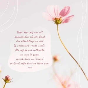 Kaart Sela songs - 7919 - Heer, leer mij uw wil