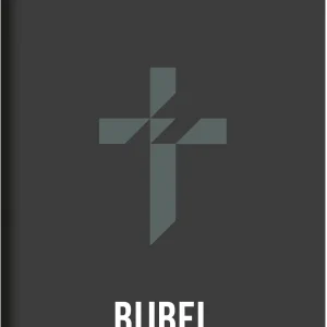 HSV jongensbijbel - met psalmen