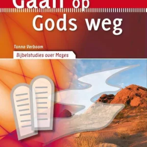 Gaan op Gods weg - Tanno Verboom