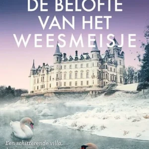 De belofte van het weesmeisje - Anne Jacobs
