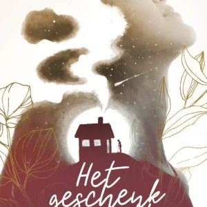 Het geschenk van Martha - Nelske Vink-Jonker