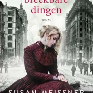 De aard van breekbare dingen - Susan Meissner