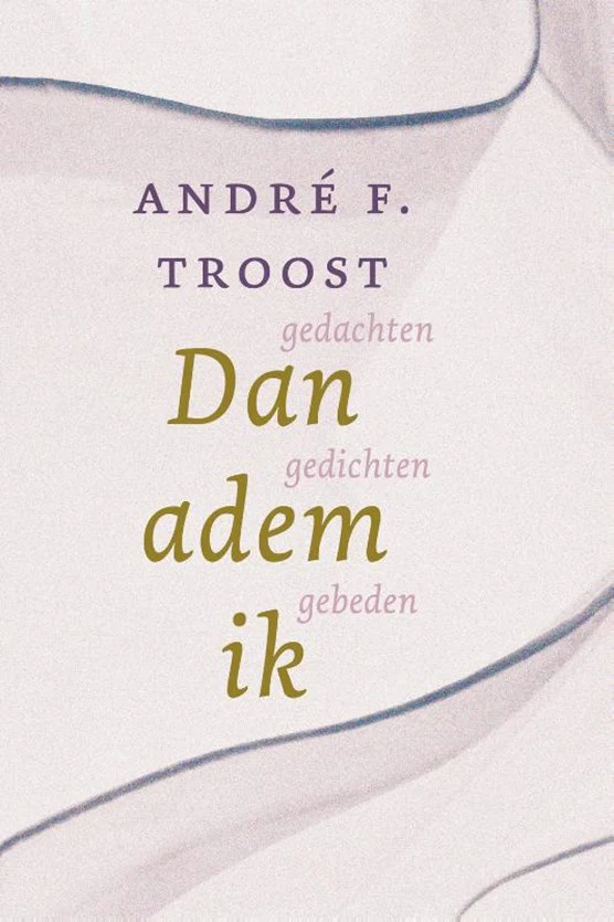 Dan adem ik - André F. Troost - Afbeelding 2