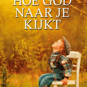 Hoe God naar je kijkt - Wilkin van de Kamp