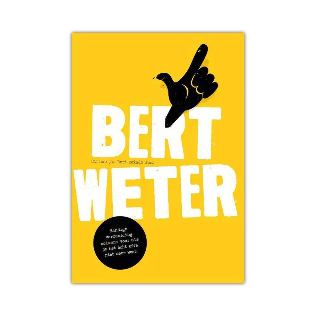 Bert weter - Bert Reinds - Afbeelding 2