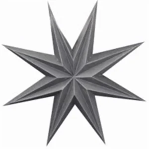 Ster Papier - Zwart - Maat 30cm