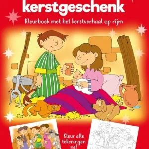 Het mooiste kerstgeschenk - Michel de Boer en Lee Ann Vermeulen