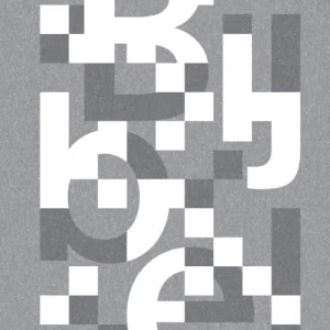 NBV21 Basiseditie speciaal voor jongeren incl. deuterocanonieke boeken