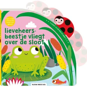 Lieveheersbeestje vliegt over de sloot