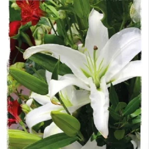 Map - kaarten - rouw