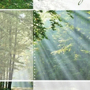 Map - kaarten - rouw