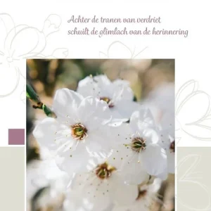 Met innig medeleven - Baaij kaarten