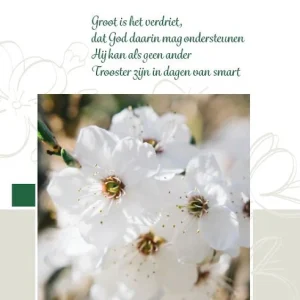 Met innig medeleven - Baaij kaarten