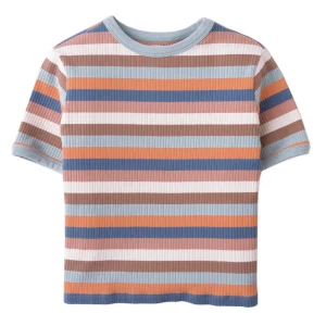 Gingersnaps - rib tee Lewis - multicolor stripe