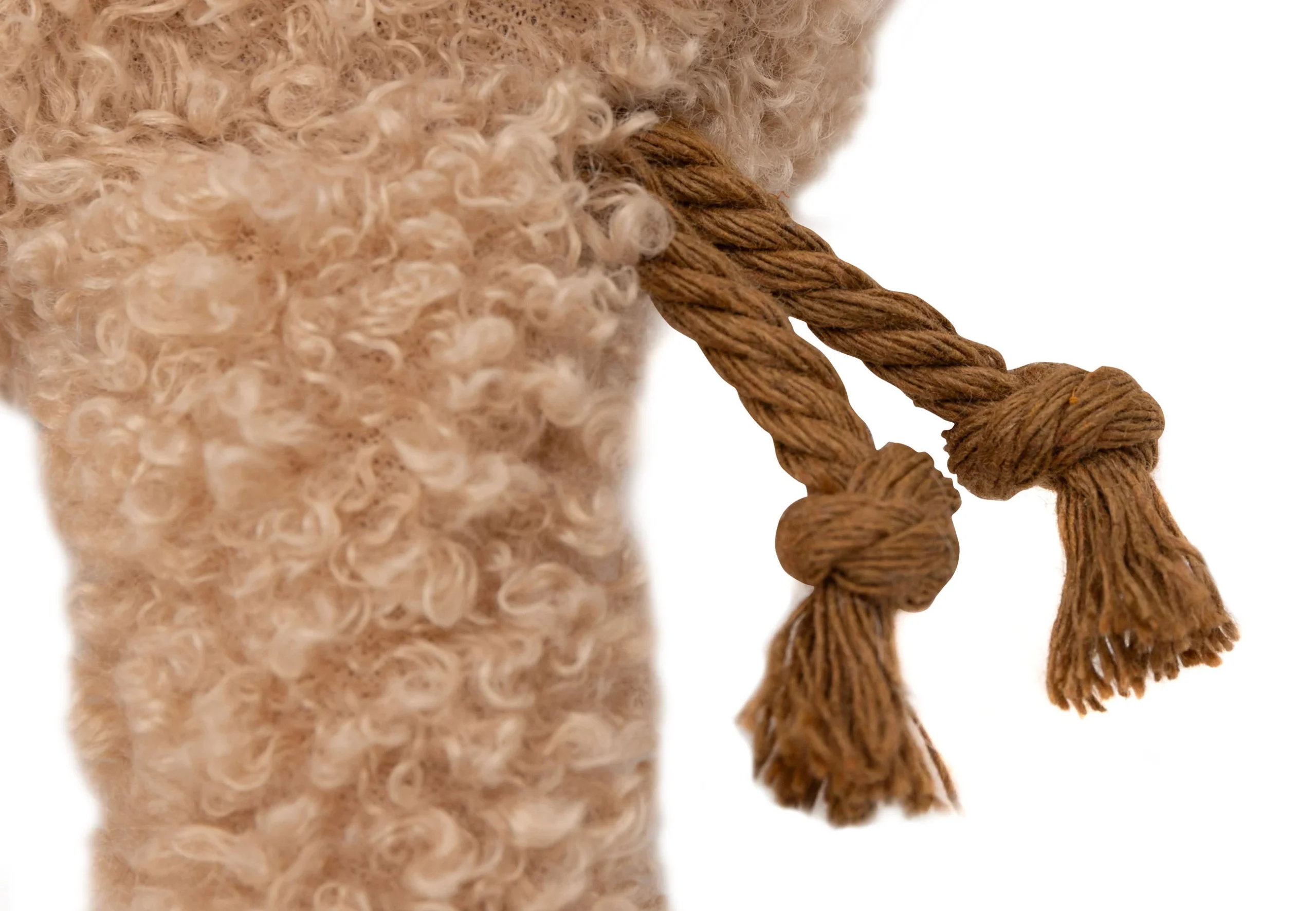 Wagenhanger Bunny - Afbeelding 5